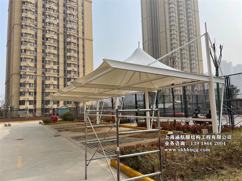 冒顶车棚 (33)